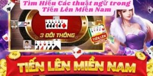 Tìm Hiểu Các thuật ngữ trong Tiến Lên Miền Nam