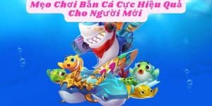 Mẹo Chơi Bắn Cá Cực Hiệu Quả Cho Người Mới 