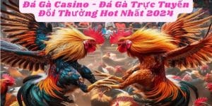 Đá Gà Casino - Đá Gà Trực Tuyến Đổi Thưởng Hot Nhất 2024