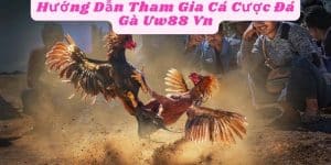 Hướng Dẫn Tham Gia Cá Cược Đá Gà Uw88 Vn